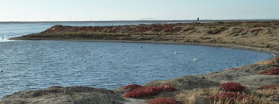 BAO Alviso Hike