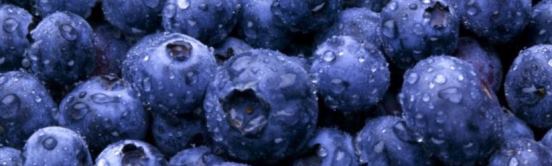 Superfoods Lecture