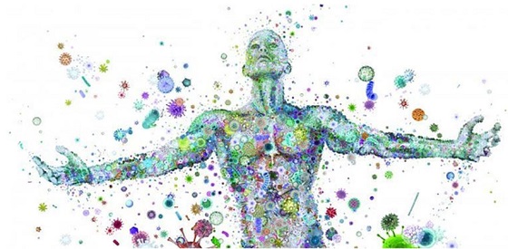 Microbiome Lecture