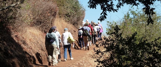 BAO Picchetti Ranch Open Space Preserve Hike