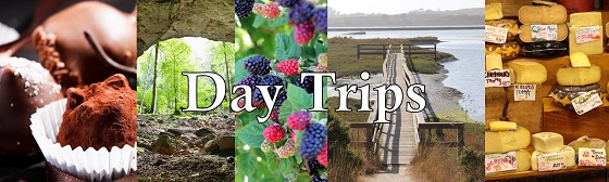 BAO Day Trips