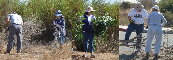 Earth Day Volunteer Day