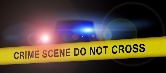 CSI Bay Area