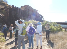 Almaden_Quicksilver_BAO_hike_12.jpg