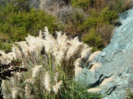 Almaden_Quicksilver_BAO_hike_19.jpg