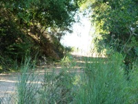 Almaden_Quicksilver_County_Park_17.JPG