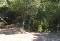 Almaden_Quicksilver_County_Park_19.JPG