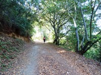 Almaden_Quicksilver_County_Park_22.JPG