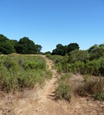 Almaden_Quicksilver_County_Park_28.JPG