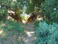 Almaden_Quicksilver_County_Park_31.JPG