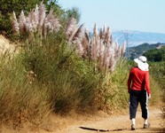 Almaden_Quicksilver_County_Park_35.JPG