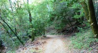 Almaden_Quicksilver_County_Park_44.JPG