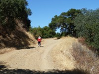 Almaden_Quicksilver_County_Park_7.JPG