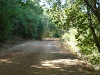 Almaden_Quicksilver_County_Park_8.JPG