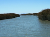 Alviso_Marina_County_Park_12b.jpg