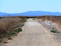 Alviso_Marina_County_Park_13.jpg