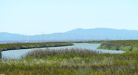 Alviso_Marina_County_Park_18b.jpg