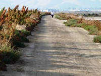 Alviso_Marina_County_Park_26.jpg