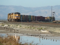 Alviso_Marina_County_Park_33.jpg