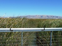 Alviso_Marina_County_Park_8.jpg