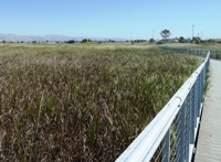 Alviso_Marina_County_Park_9.jpg