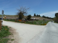 Arastradero_Preserve__1.jpg