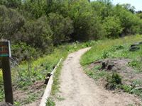 Arastradero_Preserve__10.jpg