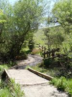 Arastradero_Preserve__12.jpg