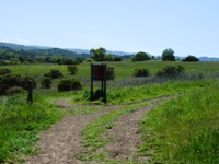 Arastradero_Preserve__19.jpg