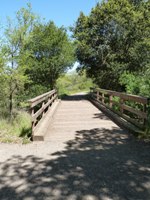 Arastradero_Preserve__24.jpg