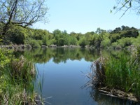 Arastradero_Preserve__25.jpg