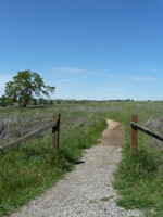 Arastradero_Preserve__30.jpg