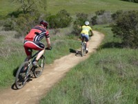 Arastradero_Preserve__31.jpg