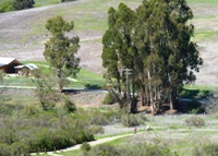 Arastradero_Preserve__32.jpg