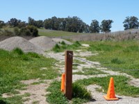 Arastradero_Preserve__6.jpg