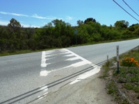 Arastradero_Preserve__9.jpg