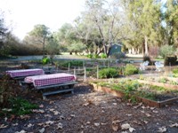 Ardenwood_Historic_Farm_12.jpg