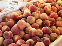 Belmont_Farmers_Market_12.jpg