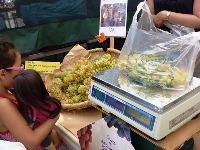 Belmont_Farmers_Market_15.jpg