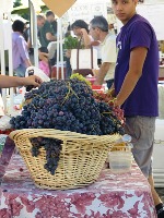 Belmont_Farmers_Market_5.jpg