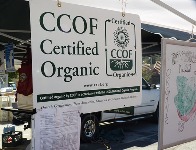 Belmont_Farmers_Market_8.jpg