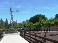 Blackberry_Farm_2.jpg