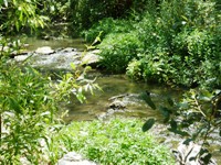 Blackberry_Farm_6.jpg