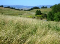 CaleroCountyPark_6.JPG