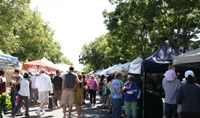 CampbellFarmersMarket1.JPG