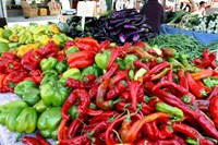 CampbellFarmersMarket10.JPG