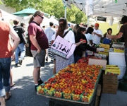 CampbellFarmersMarket2.JPG