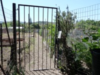 Cupertino_Community_Gardens_1.jpg
