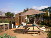 EmeryvilleCommunityGarden3.JPG