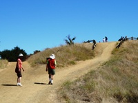 Fremont_Older_Open_Space_Preserve_13.jpg